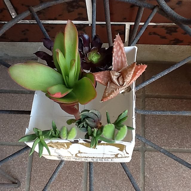 annemariraさんの実例写真
