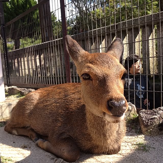 L.さんの実例写真