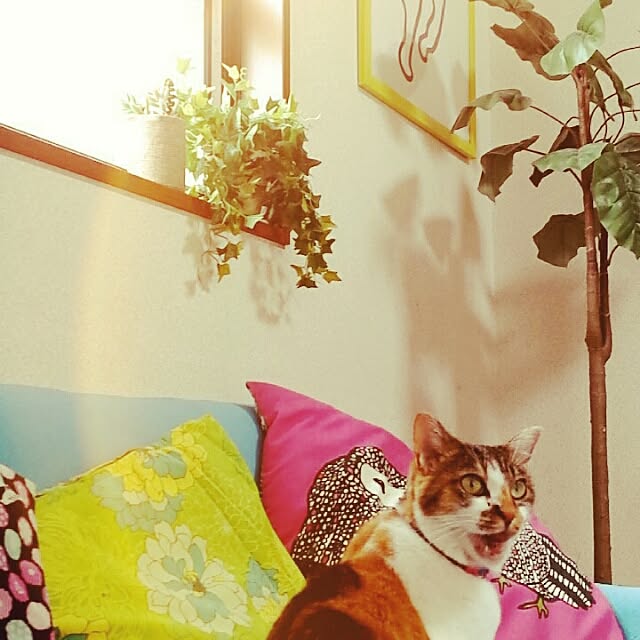 mikikoさんの実例写真