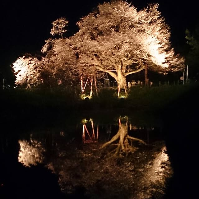 haruさんの実例写真
