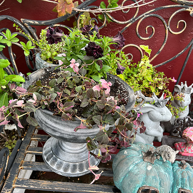 AYUKOさんの実例写真