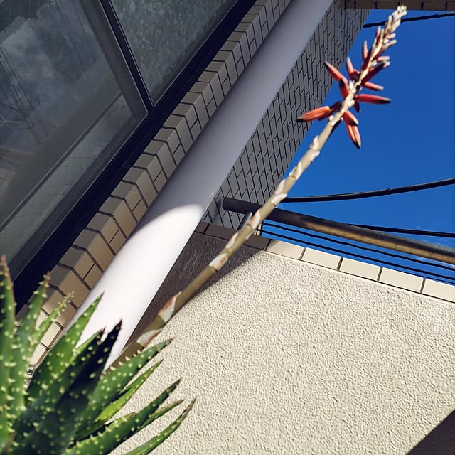 xyzさんの実例写真