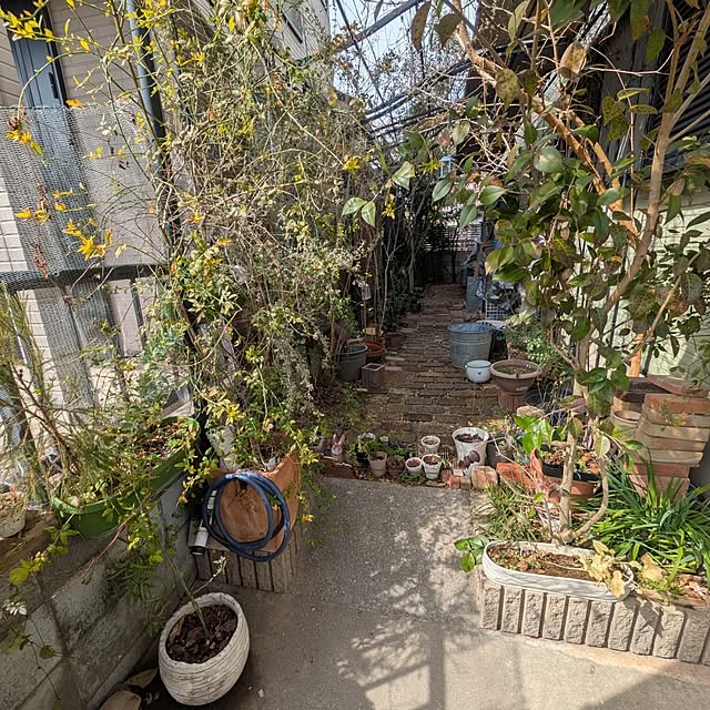 mori_6_12さんの部屋