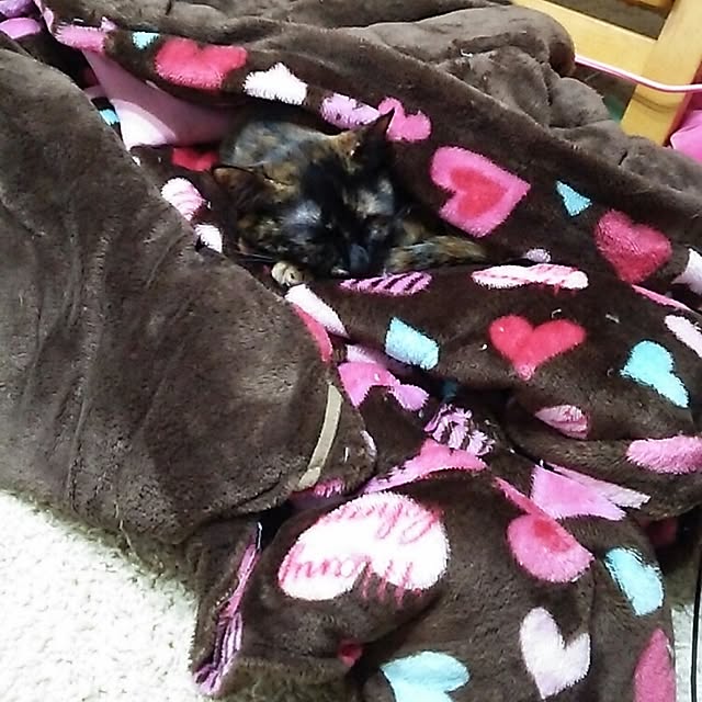 mcomcoさんの実例写真