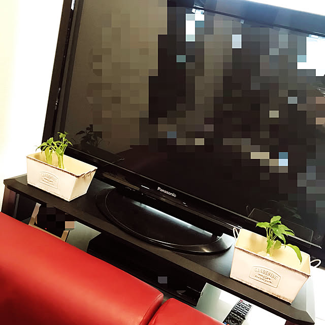 賃貸/掃除しやすく/築古/いぬのいる暮らし/観葉植物...などのインテリア実例 - 2021-07-24 08:24:01