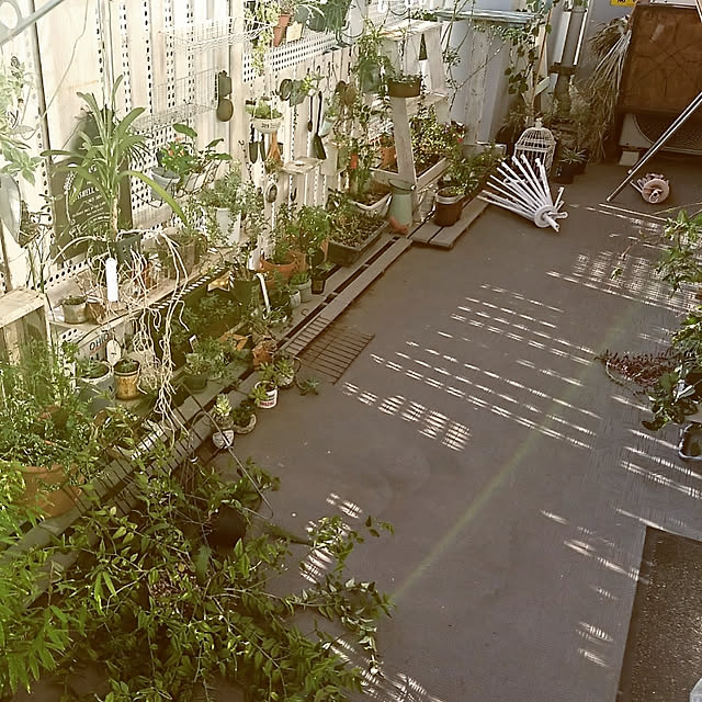 okameさんの実例写真
