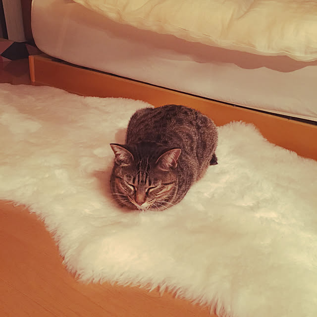 Mさんの実例写真