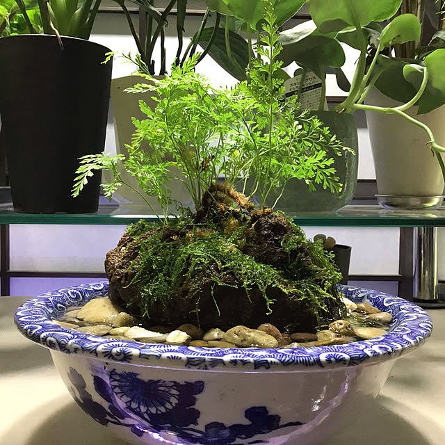 ginjiさんの実例写真