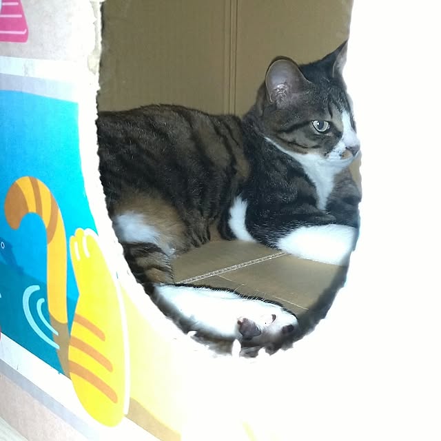 yuk.さんの部屋