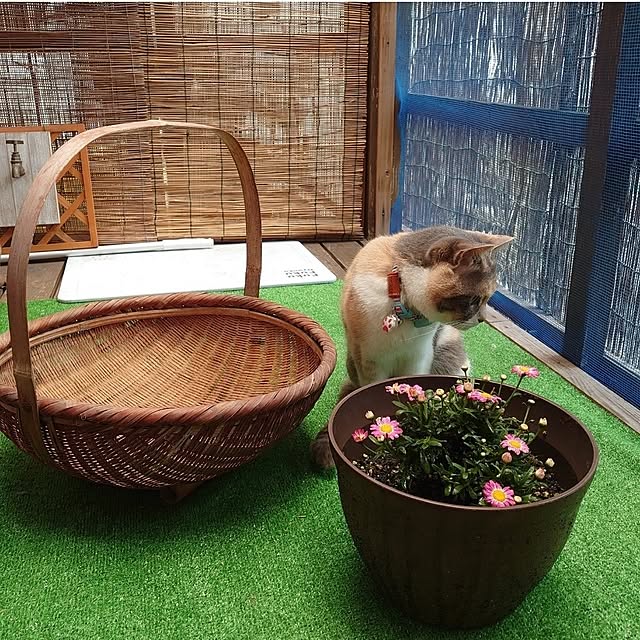 fukuさんの実例写真