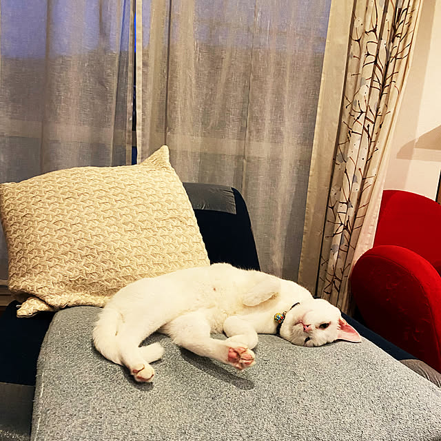hanaさんの実例写真
