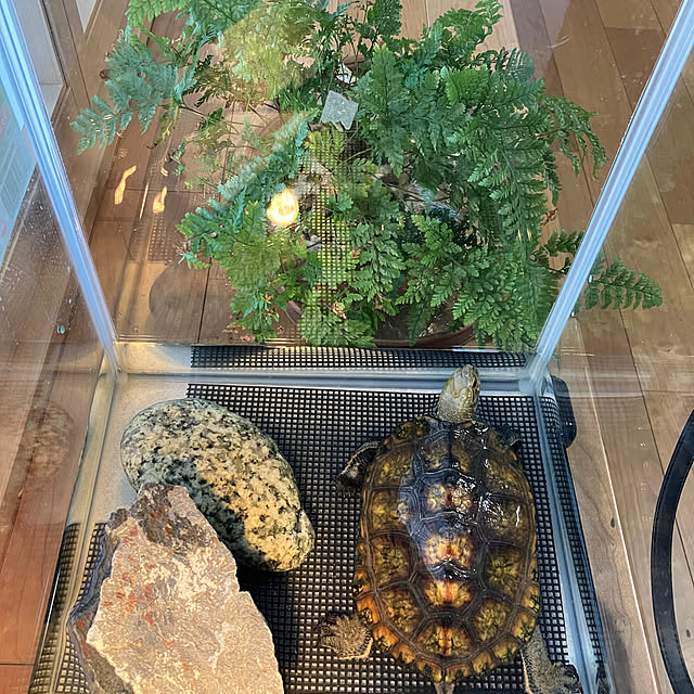Takenoyaさんの部屋