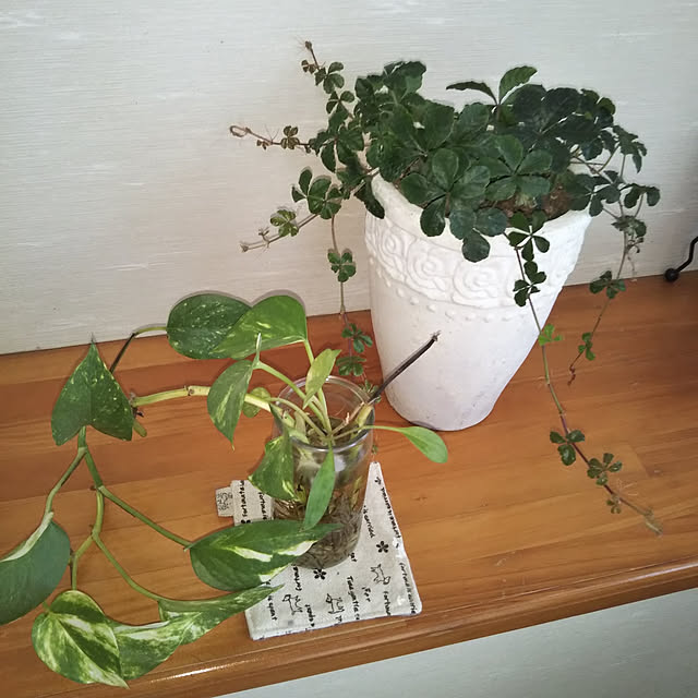 sa.yさんの実例写真