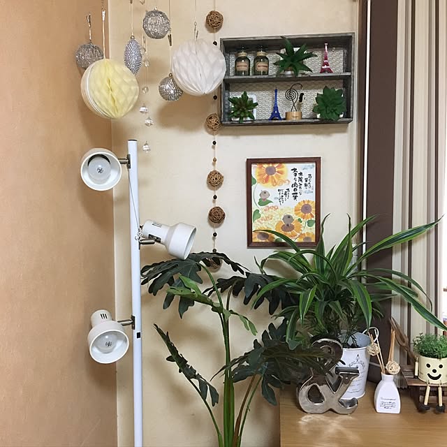 実例写真