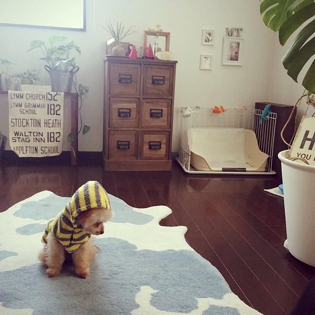 risaさんの実例写真