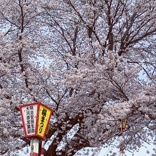 maimaiさんの部屋