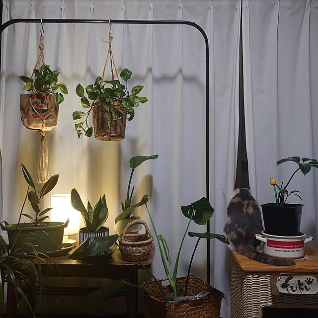 fukuさんの部屋