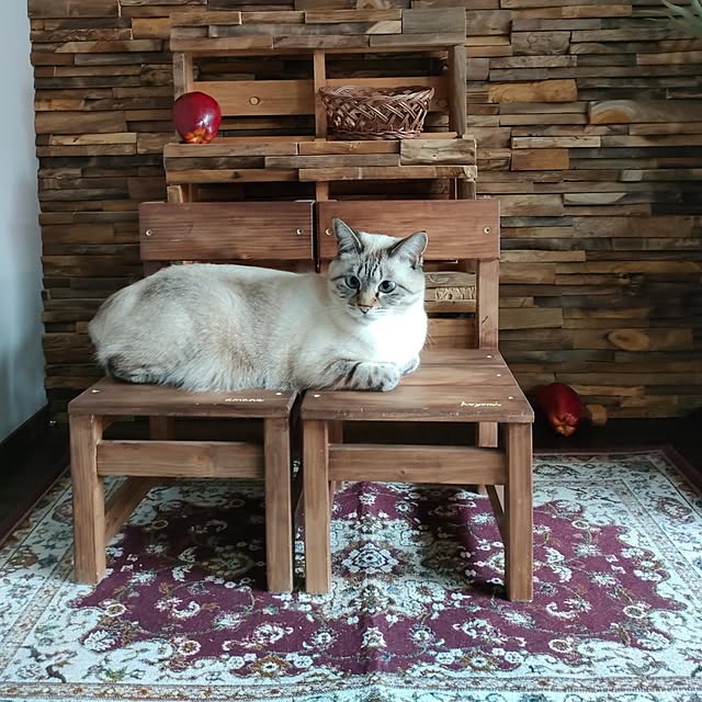 Atelier_tamakiさんの実例写真