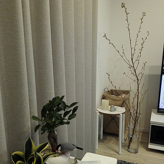 pitaさんの実例写真