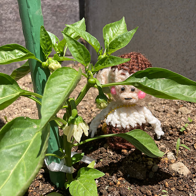 manduonmaさんの部屋