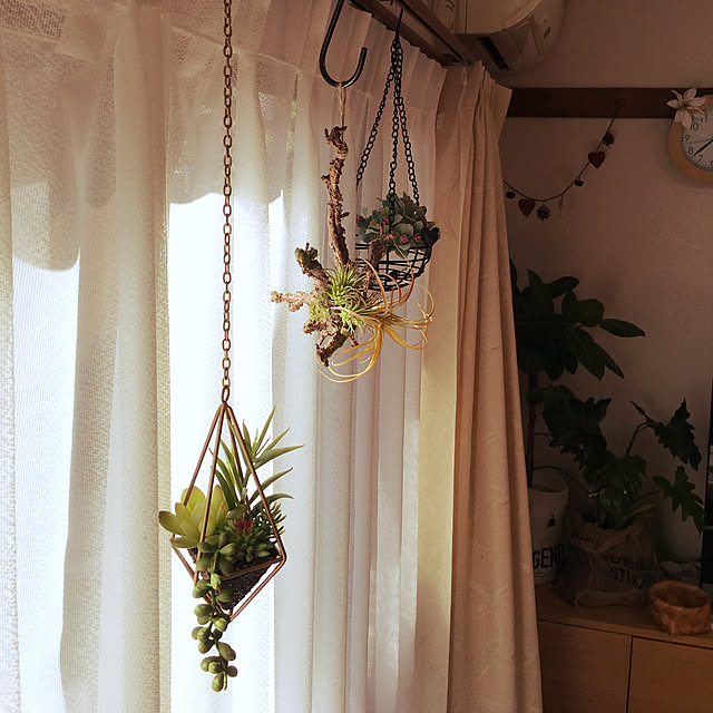 m-ktry.0530mikaさんの実例写真