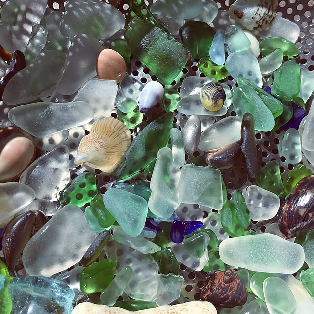 shinobuさんの実例写真