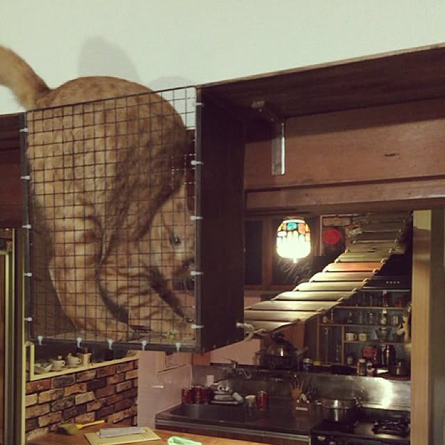 sumisumiさんの実例写真