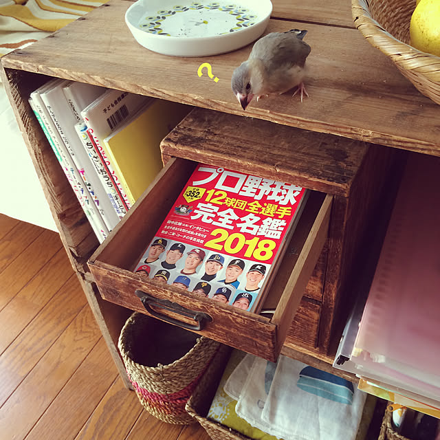 soramameさんの実例写真
