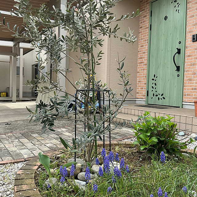 chiiyanさんの部屋