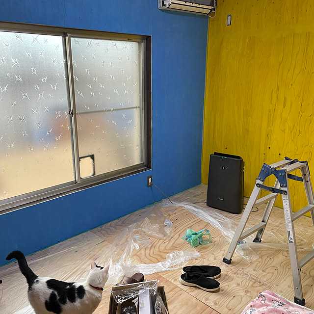 coolcats0528さんの実例写真