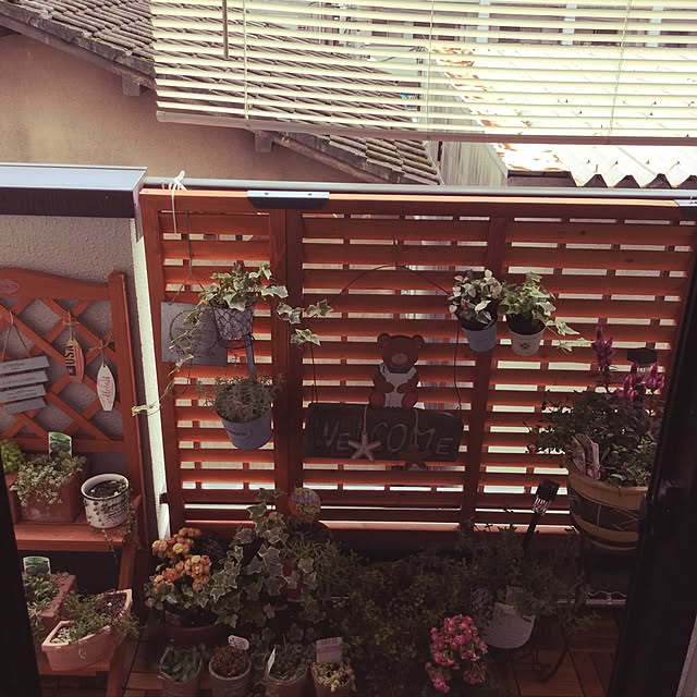 minminさんの実例写真