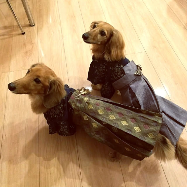 furukumaさんの実例写真