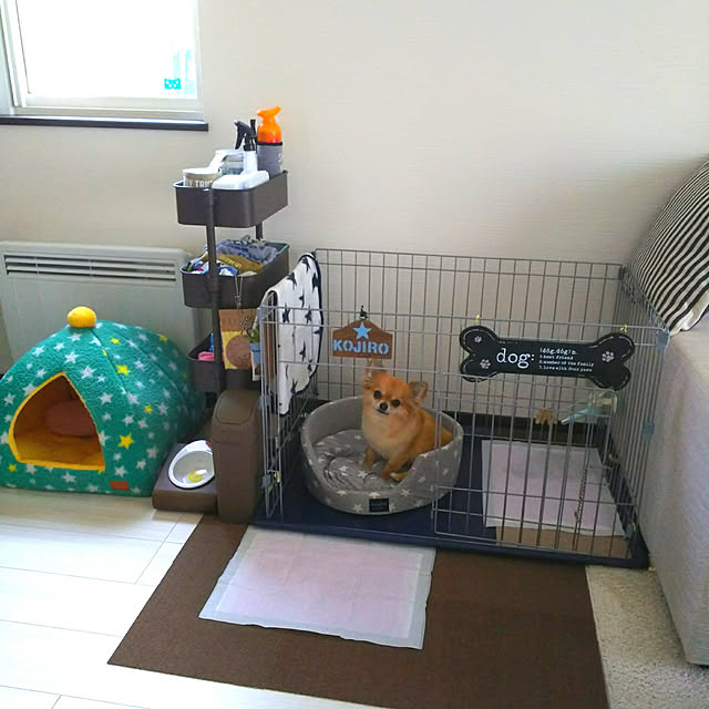 kojikojiさんの実例写真