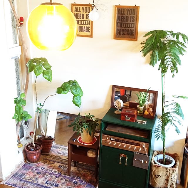 botanさんの実例写真