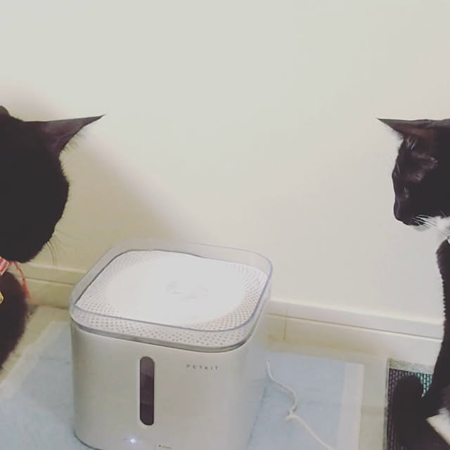 tubaki0040さんの実例写真