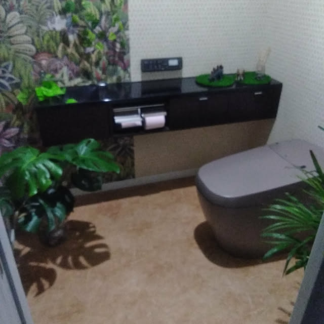 実例写真