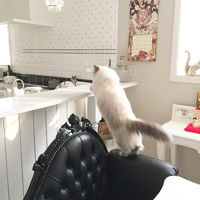 yuchiさんの実例写真