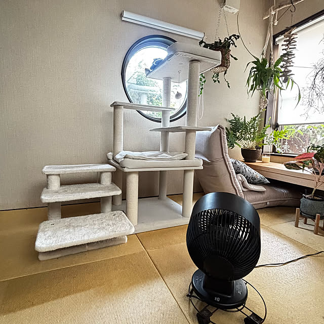 greycatsさんの部屋