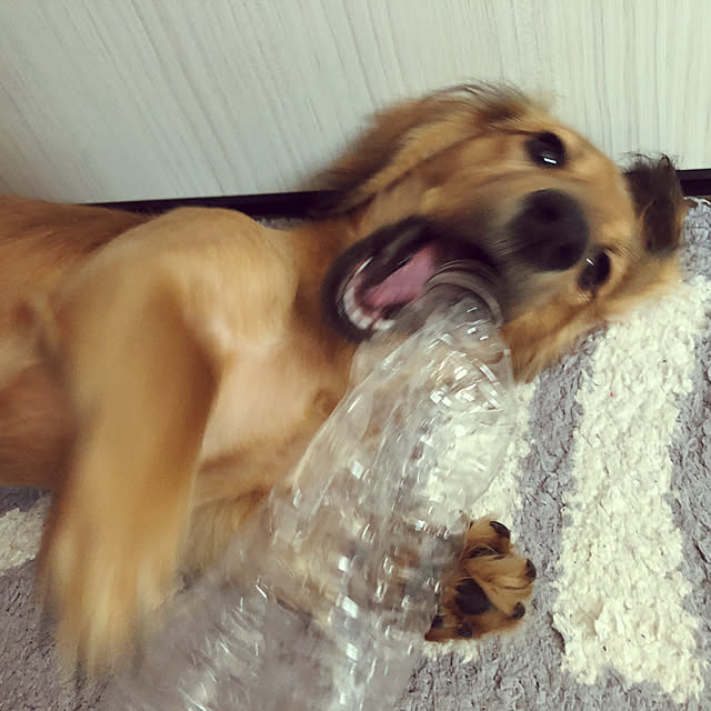 hideさんの実例写真