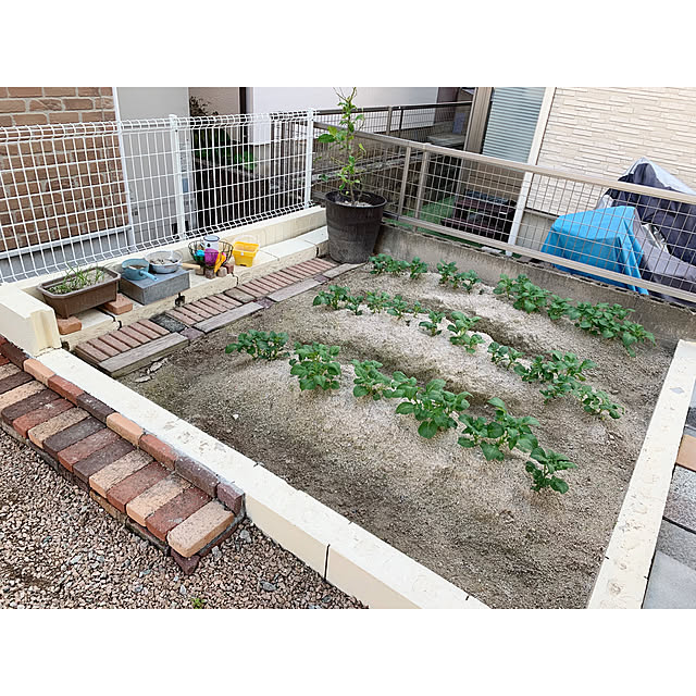 kaさんの実例写真