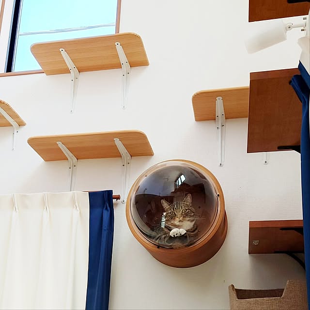 mochicoさんの実例写真