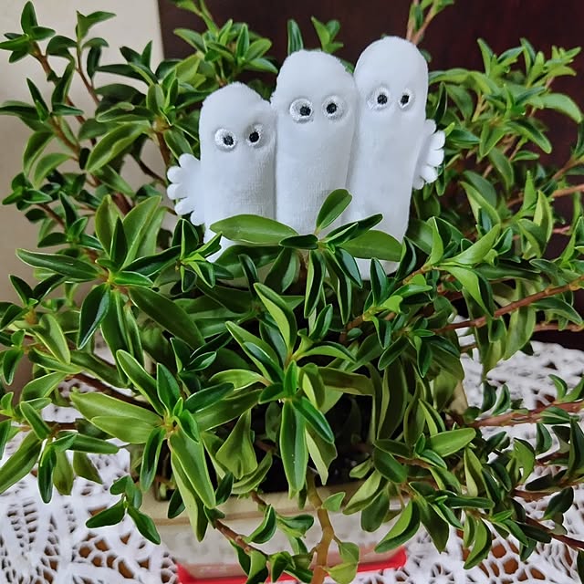 katさんの実例写真