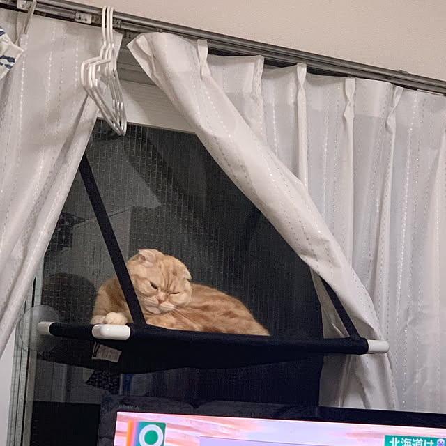 madrigal.Dさんの実例写真