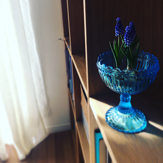 mino__risuさんの実例写真