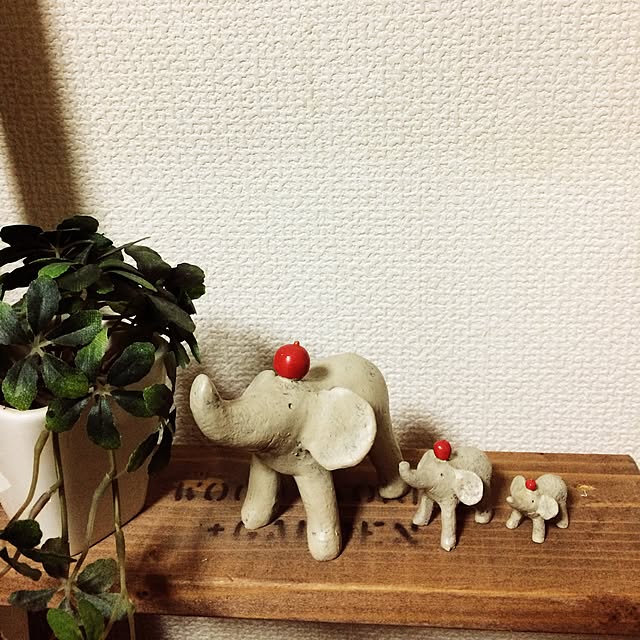 kotaさんの実例写真