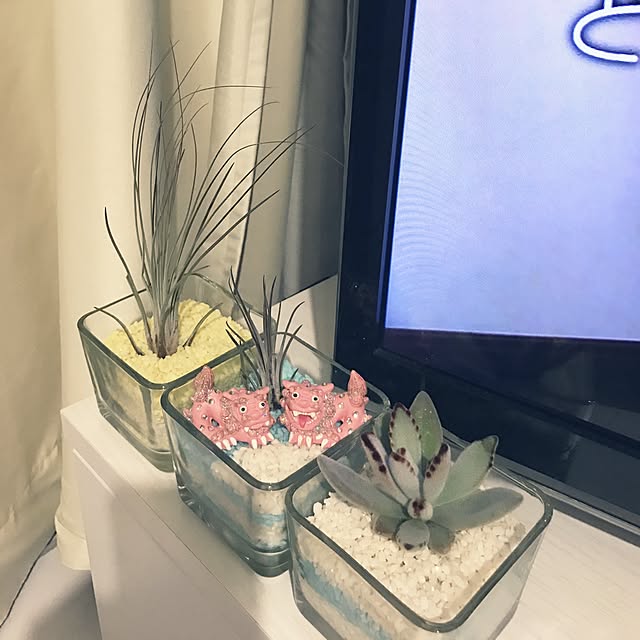 wakaさんの実例写真
