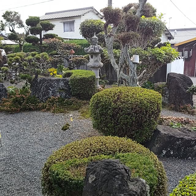 macJさんの実例写真