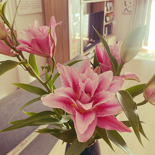 PhanMaiさんの部屋