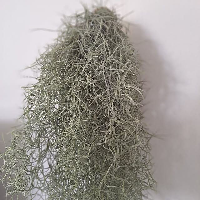 souさんの部屋