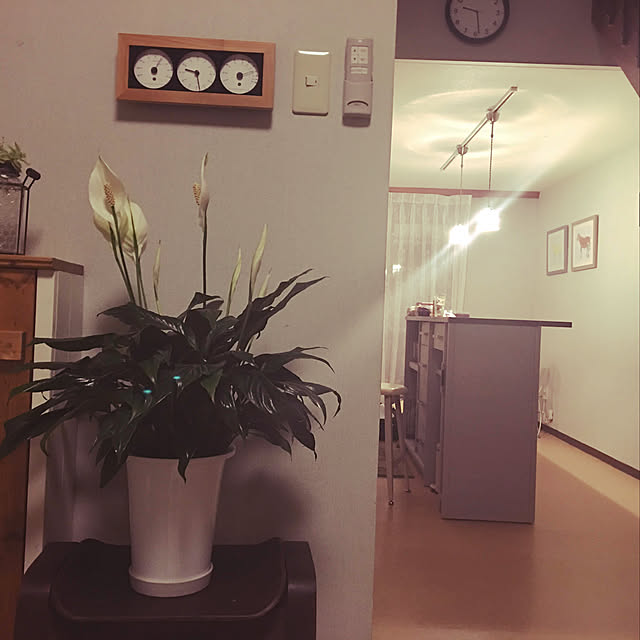 sasaさんの実例写真